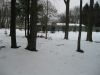 IMG_0580.JPG