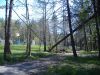 DSCF2326.JPG