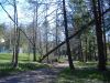 DSCF2327.JPG