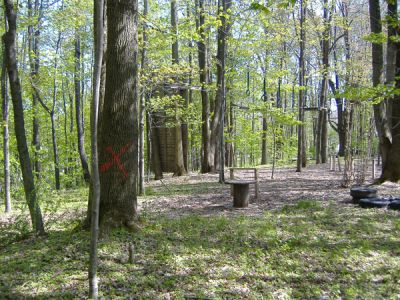 4/30/2010
Trees marked for removal. This is for bungalows that are being constructed by Nesivos Hatalmud, a yeshiva that will be in Camp Agudah for the summer.
