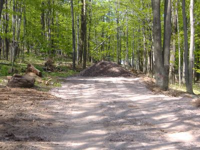 4/30/2010
Part of the driveway.
