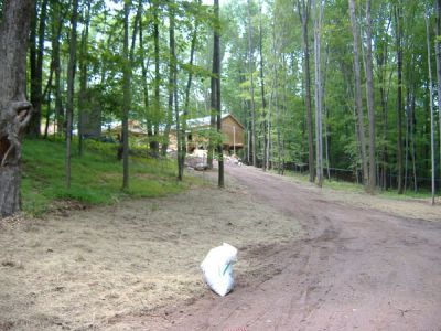 5/28/2010
The road leading to the bungalows.
