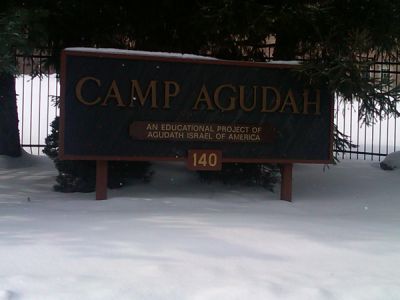 IMG00022-20110128-1332.JPG