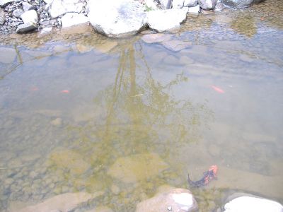 DSCF2747.jpg