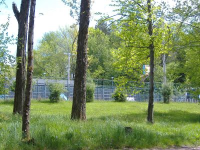 DSCF2804.jpg