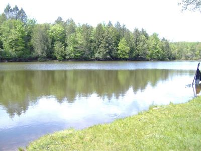 DSCF2807.jpg