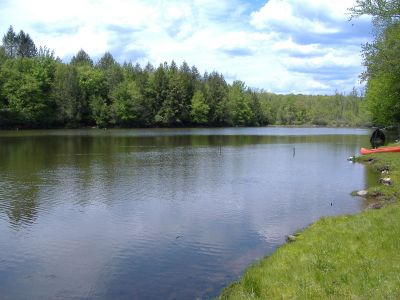 DSCF2808.jpg