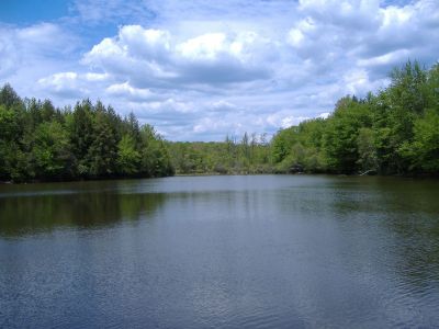 DSCF2809.jpg