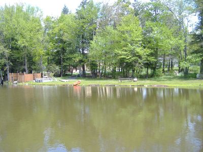 DSCF2811.jpg