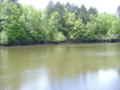 DSCF2813.jpg