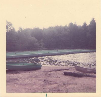 The Lake
