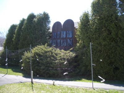 41.jpg