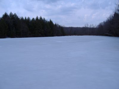 3/26/07
