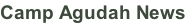 Camp Agudah News